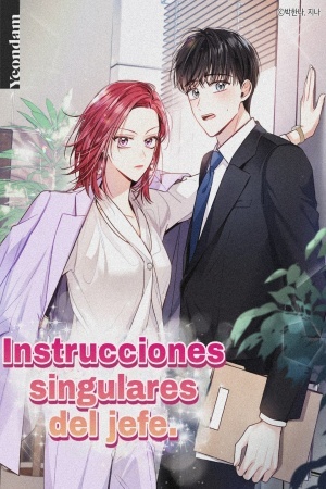 Instrucciones singulares del jefe